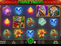Triple Tigers